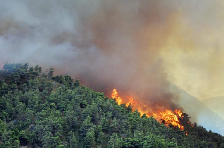 incendi-boschivi (1)
