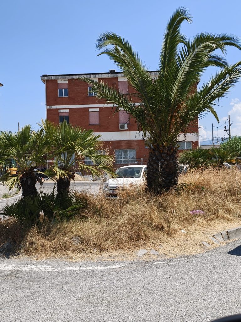 oplus_3145760
