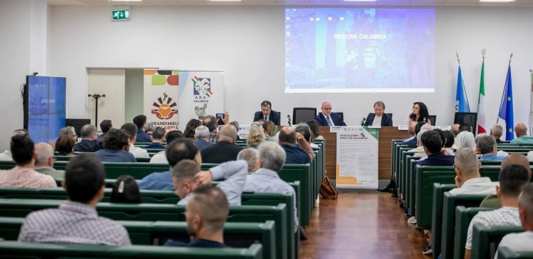 convegno apicoltura