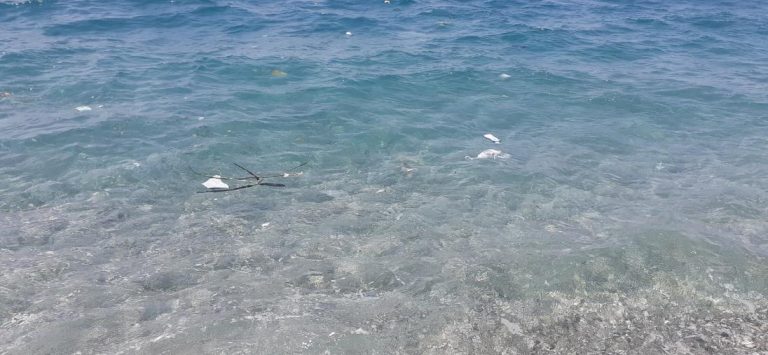 mare rifiuti repèrtorio
