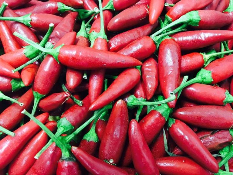 peperoncino