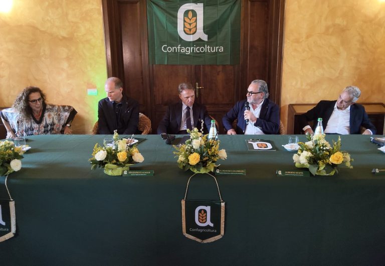 lamezia-lollobrigida-1