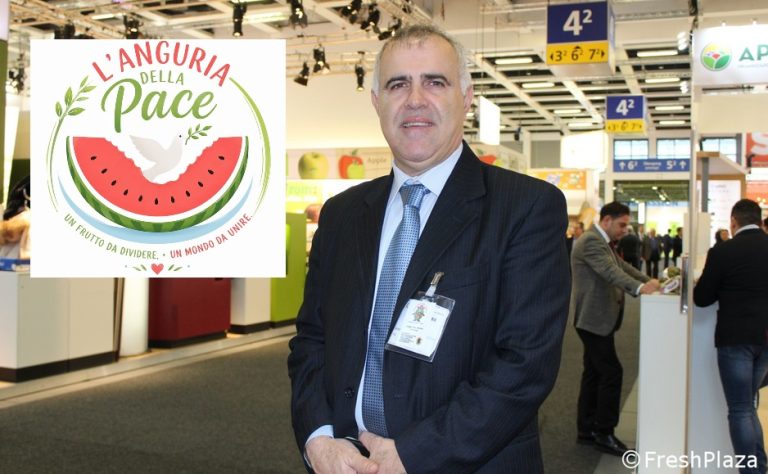 Battista Muraca