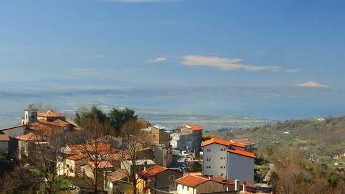 platania dall'alto