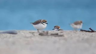 124a3a77a00c552ef1d8386f9175b6fd