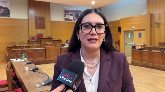 Lidia Vescio (PD) - Scontro in aula: Masi attacca Presidente gruppo PD-14