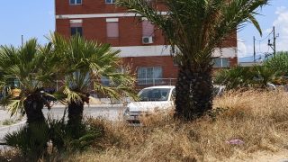 oplus_3145760
