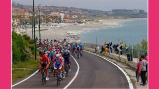 682649667_1443281591176156_187780398663522667_n