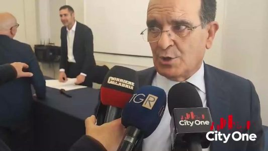 "Sottosegretari alla presidenza della Giunta Regionale" dichiarazione di Enzo Bruno e d Ernesto Alecci-80