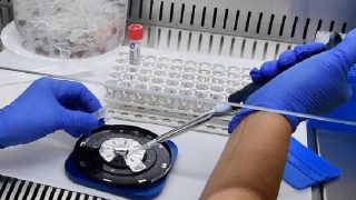 Analisi laboratorio genertica