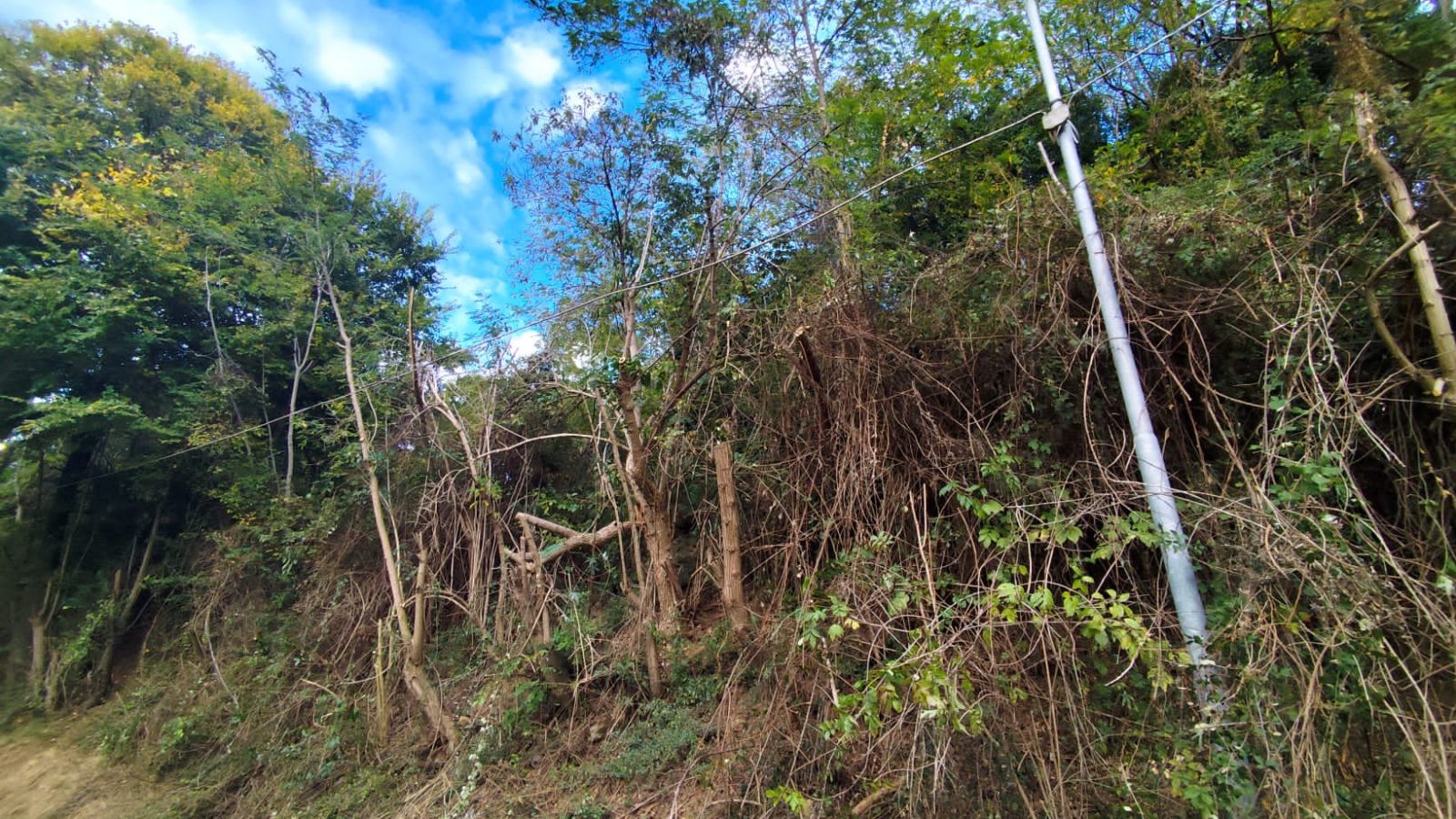 IMG-20251021-WA0052