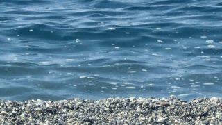 IMG-20260819-WA0030
