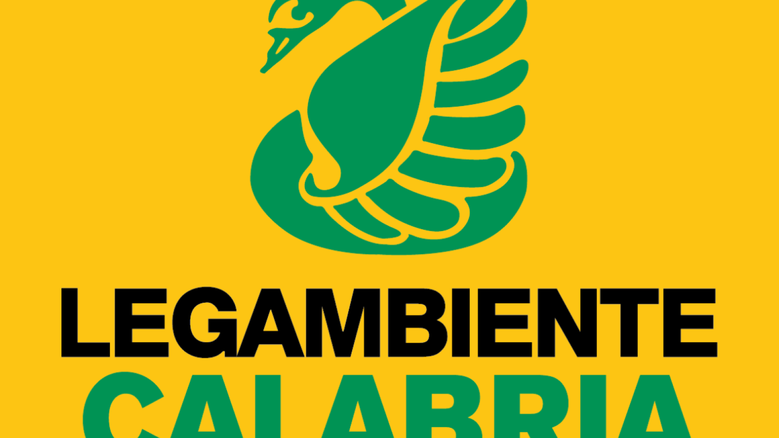 Immagine 2025-08-26 153807