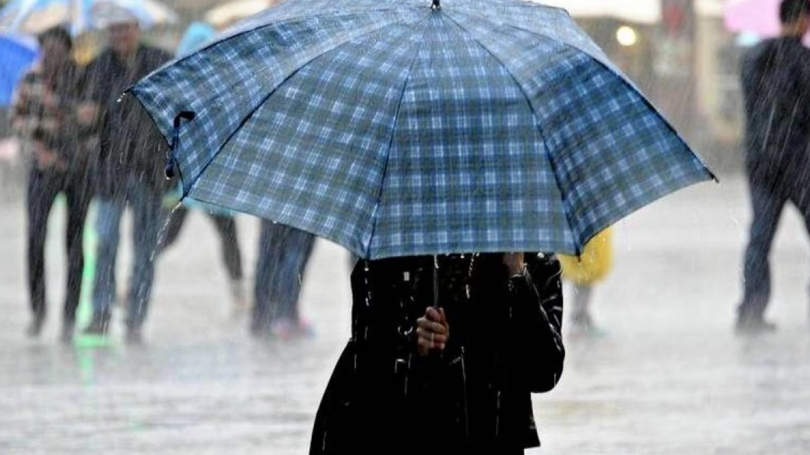 Immagine 2025-10-15 151150