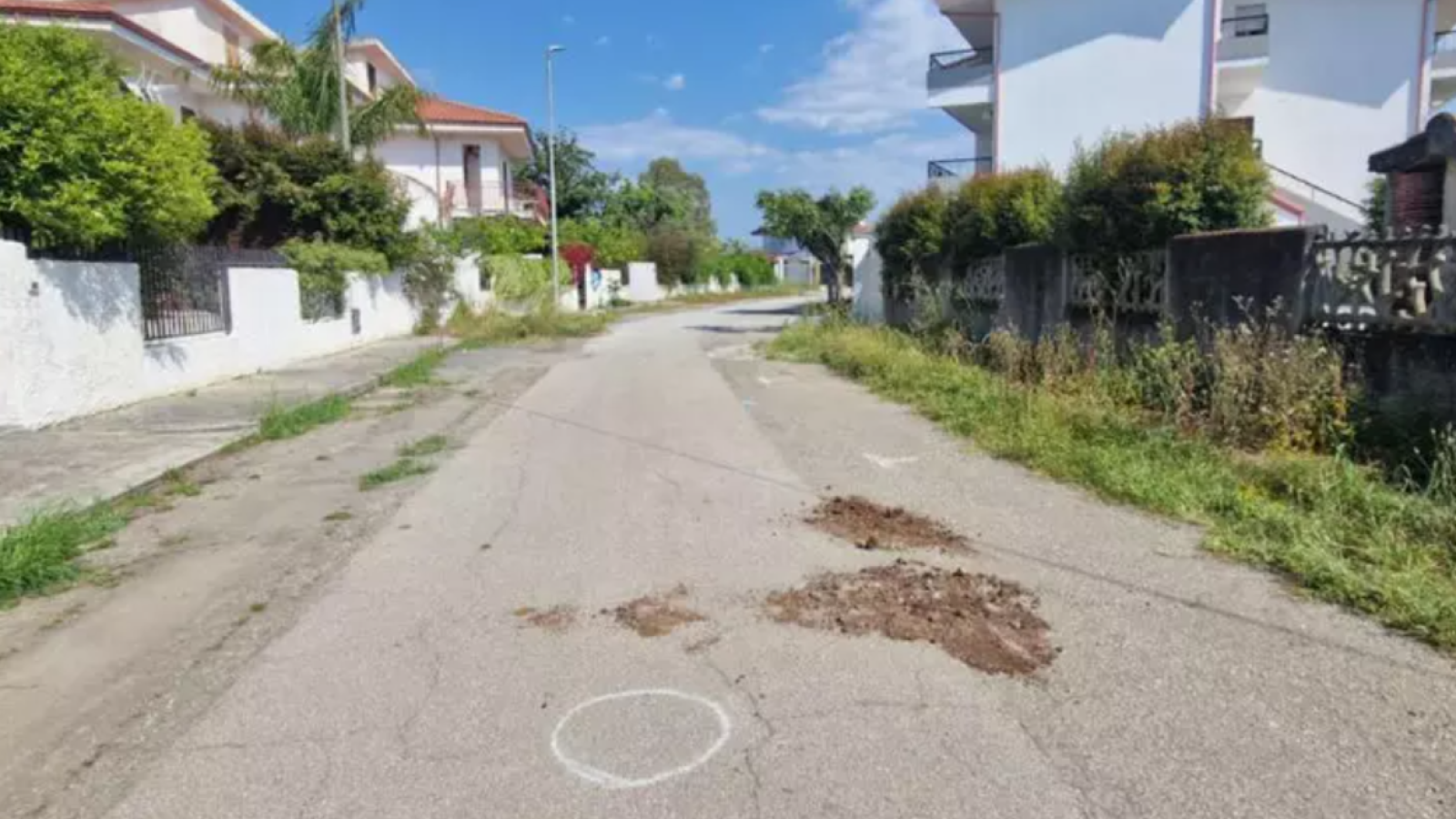 Immagine 2025-11-19 180819