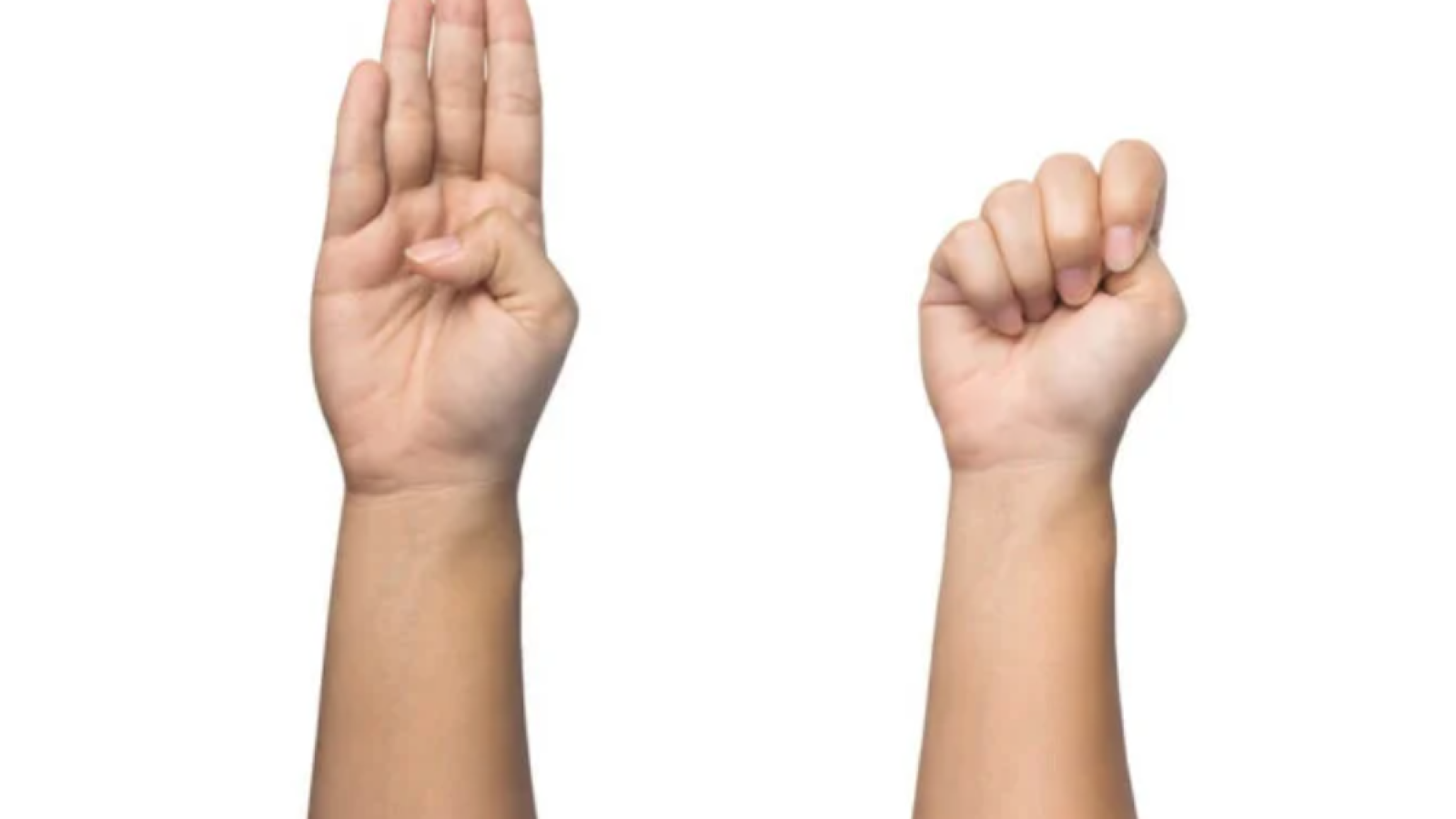 Immagine 2025-11-26 171230