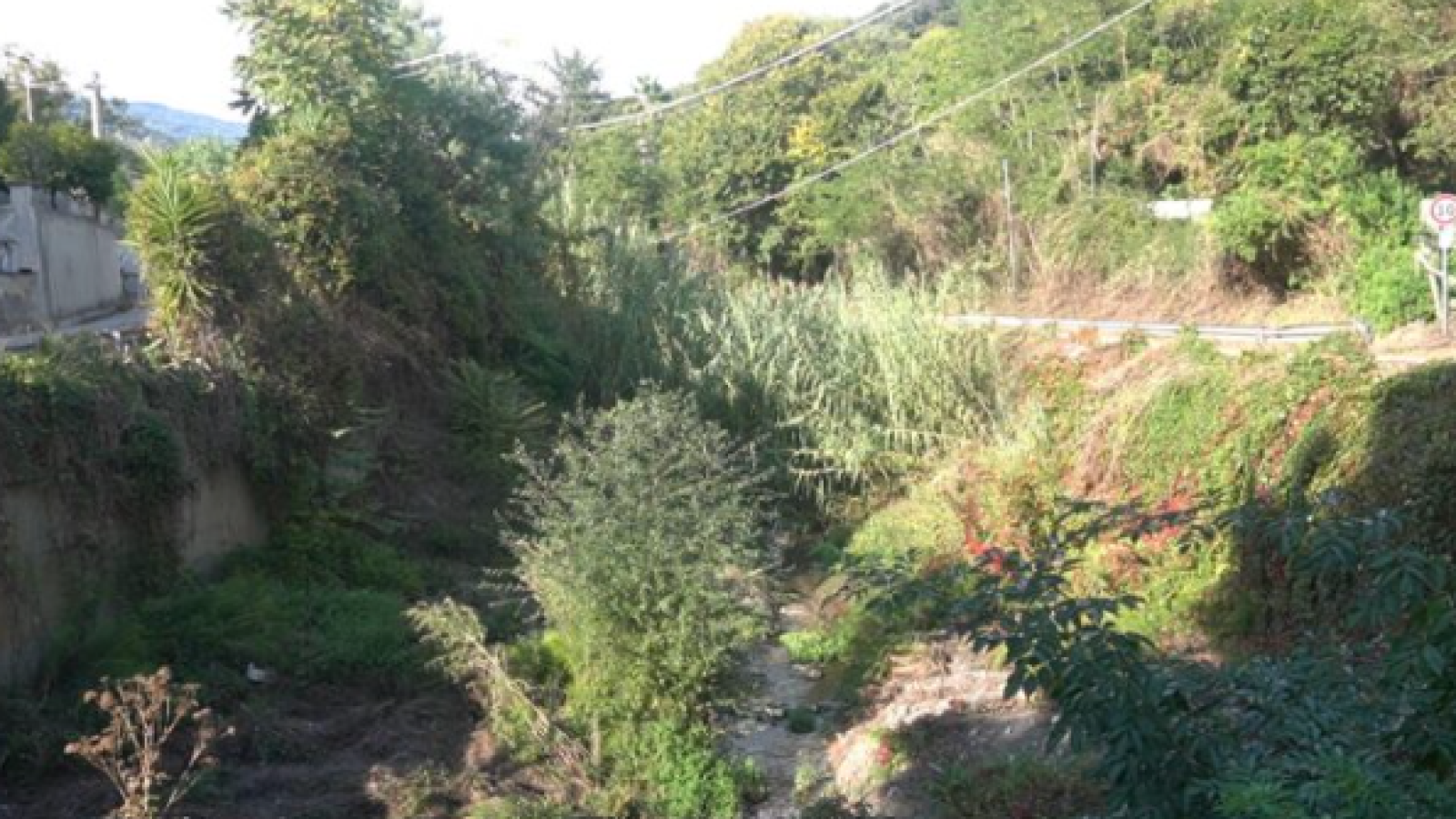 Immagine 2026-01-27 172114