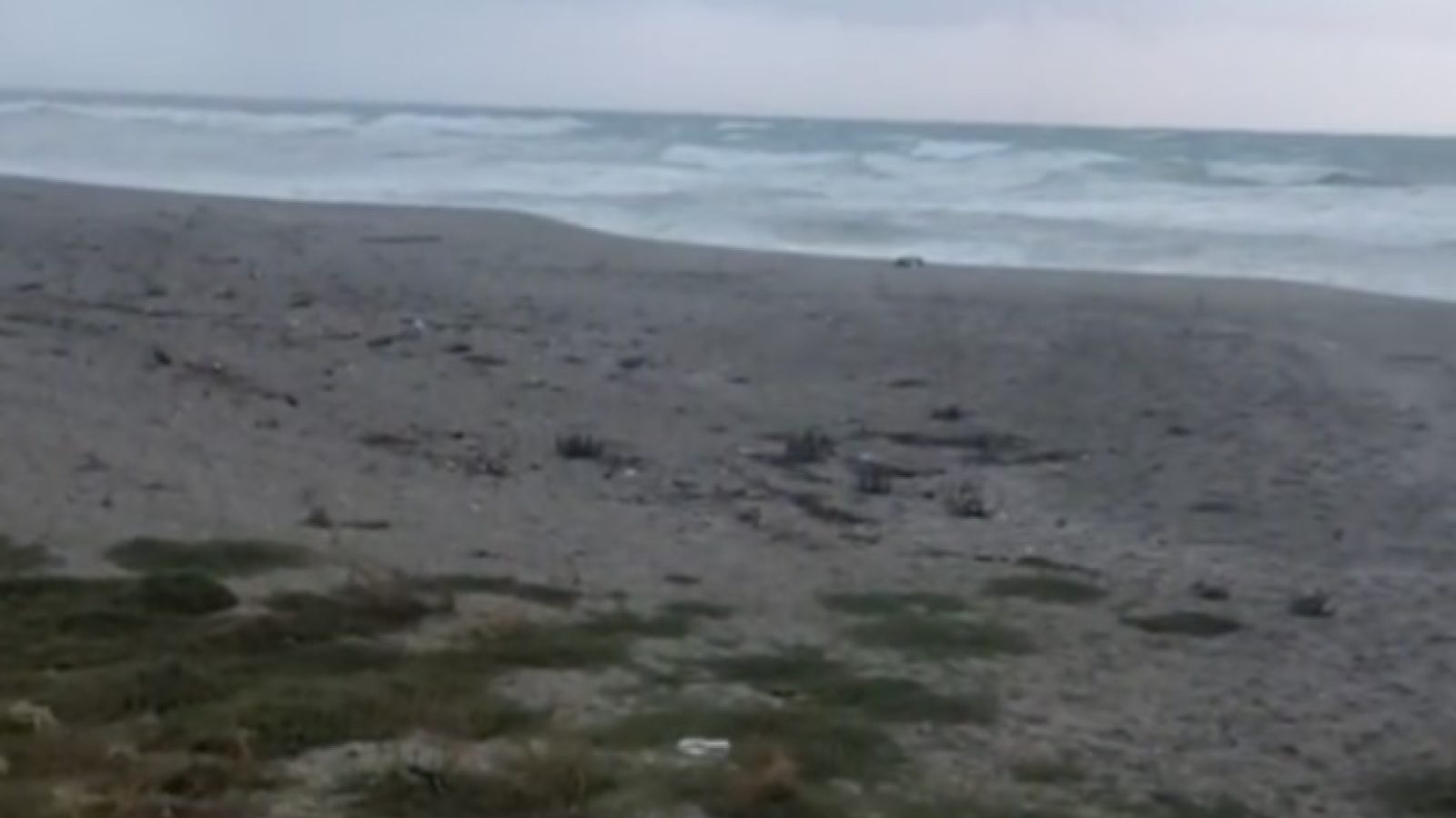 Immagine 2026-02-12 183909