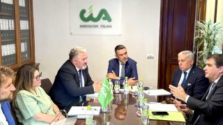 Incontro-in-Cia-con-Fitto_11-giu-2026