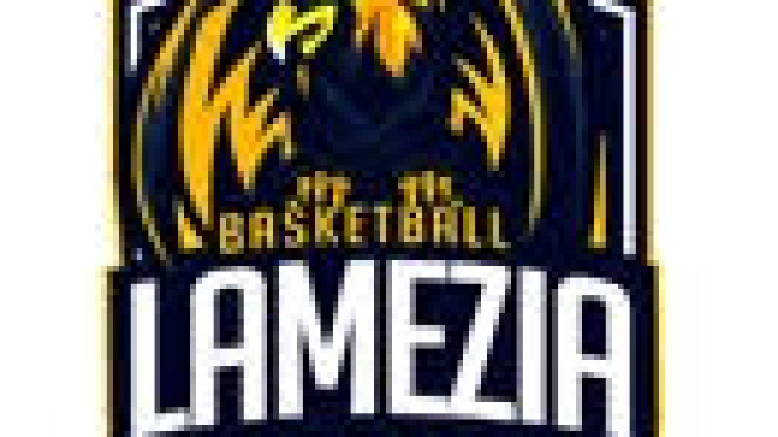 LOGO BASKETBALL LAMEZIA