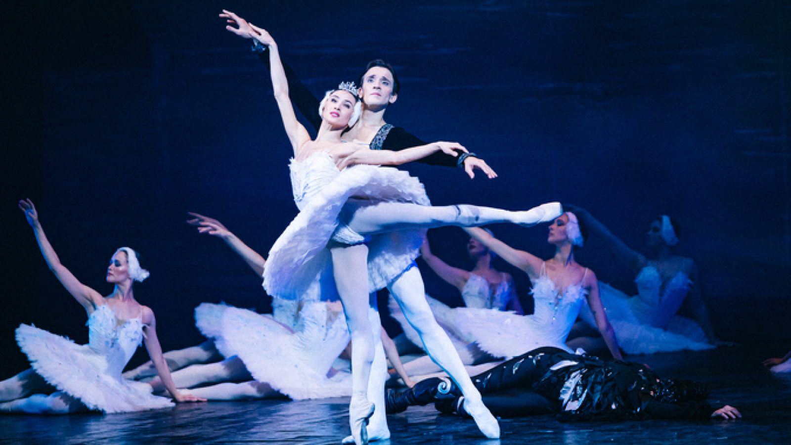 14 January 2025
Stagione 2024-25
International Classical Ballet - Il lago dei cigni
Coreografia: Marius Petipa
Musica: Pëtr Il'ič Čajkovskij

Photo by Massimiliano Donati