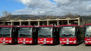 Lamezia nuovi bus