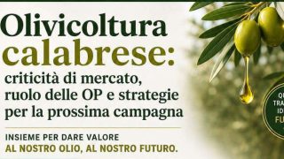 Locandina Incontro giorno 29 Luglio 2026 - Criticità del settore dell'olio di oliva_page-0001