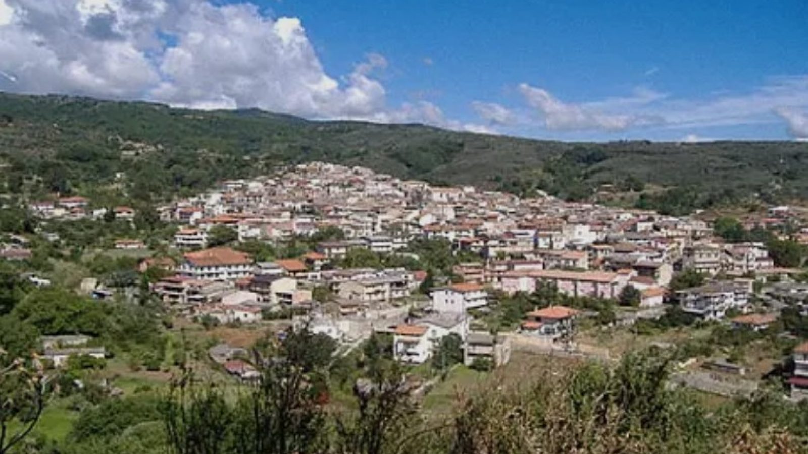 Maida
