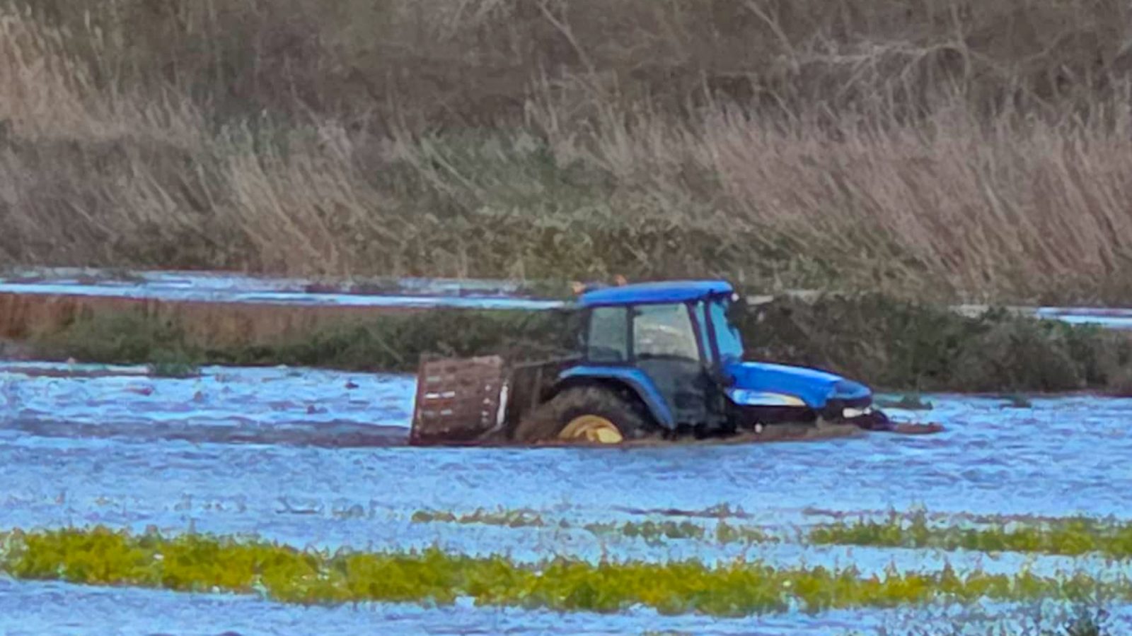 Maltempo-Coldiretti-Calabria-1a