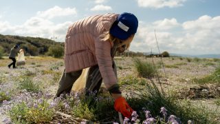 Progetto senza titolo - 2026-04-27T180748.606