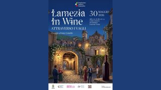 Progetto senza titolo (9)