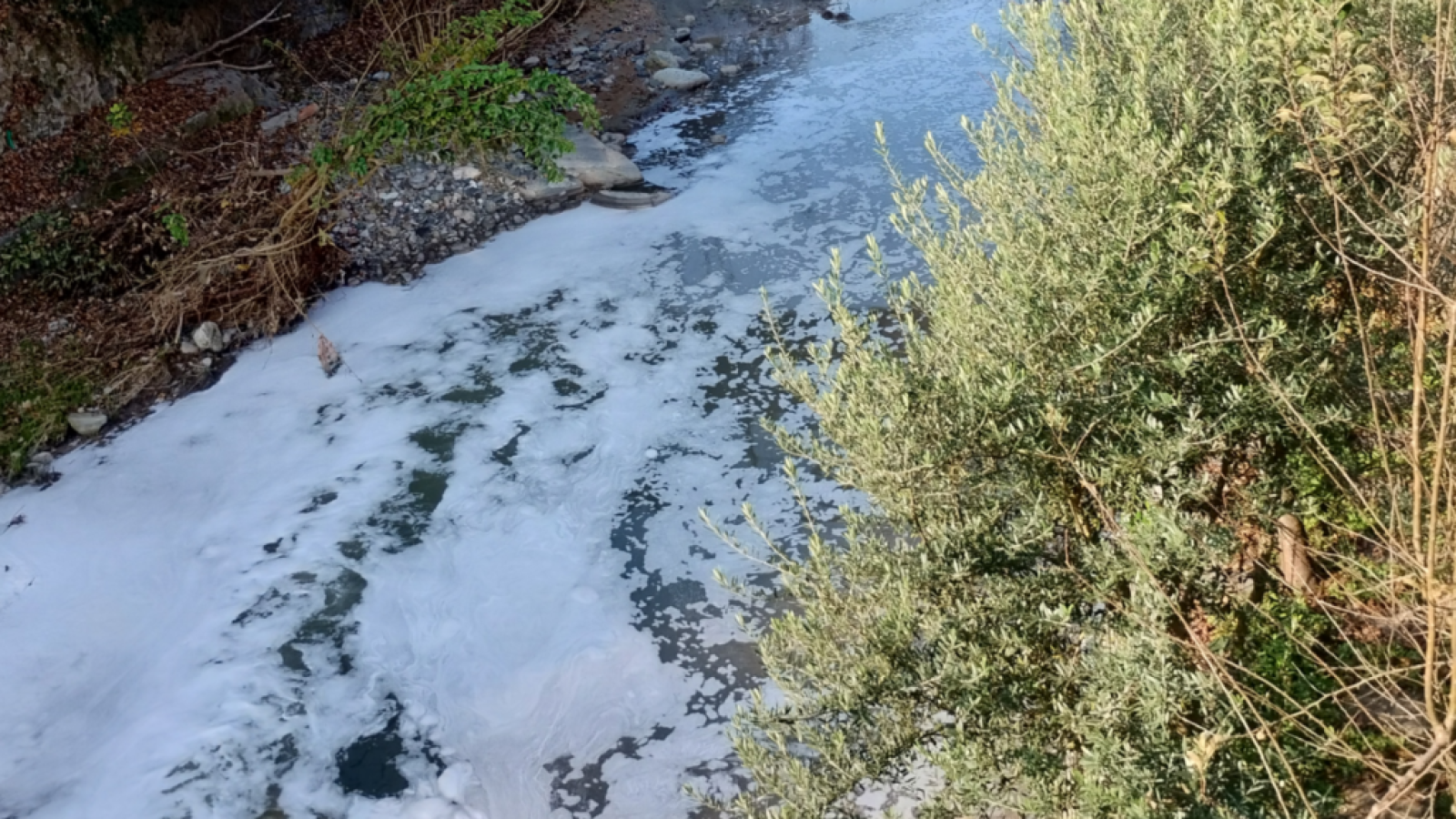 (Immagine di repertorio)