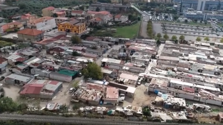 Scordovillo11
