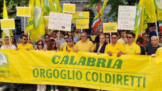 Sit-in Olio prefettura di Cosenza 2