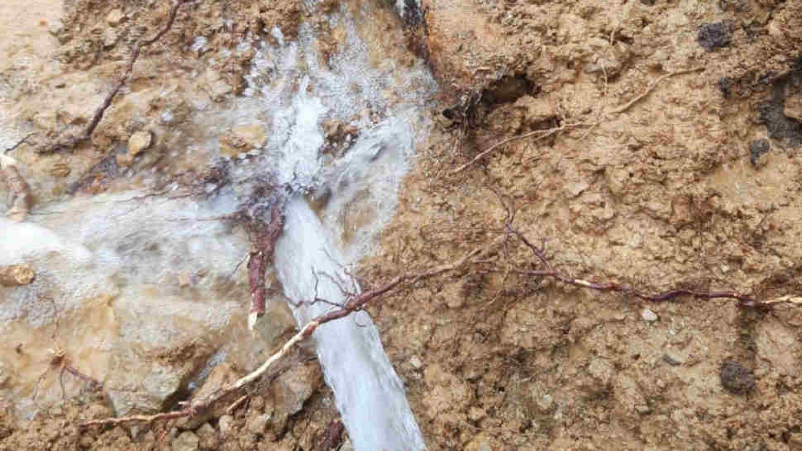 Sorical-rottura-acquedotto-Savuto