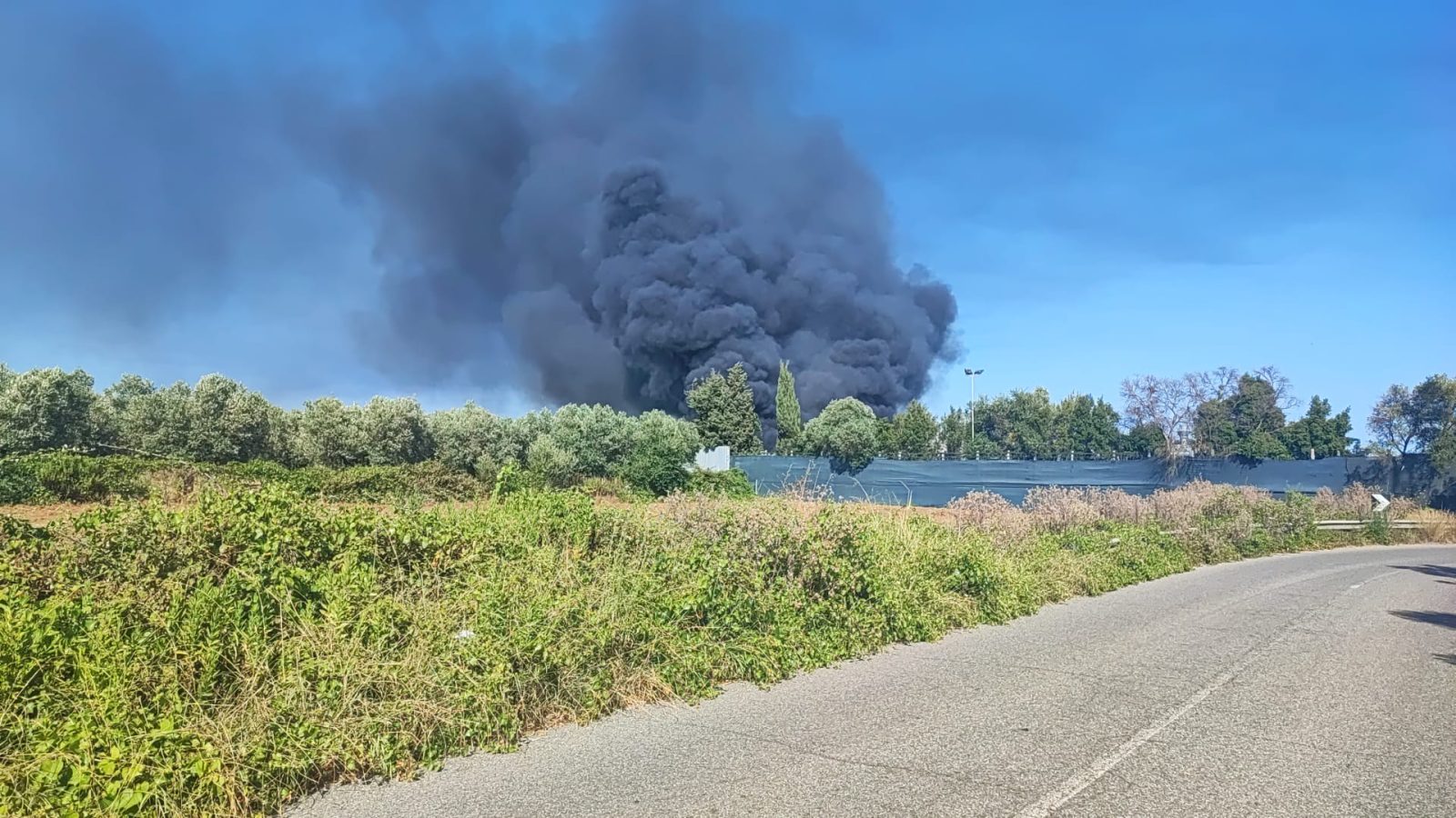 WhatsApp Image 2025-07-13 at 17.06.13