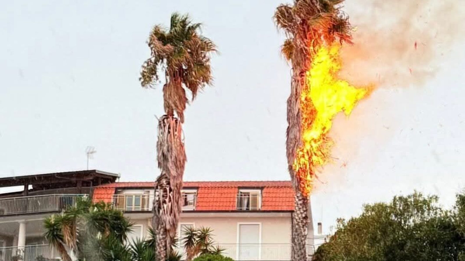 WhatsApp Image 2025-08-16 at 18.06.13