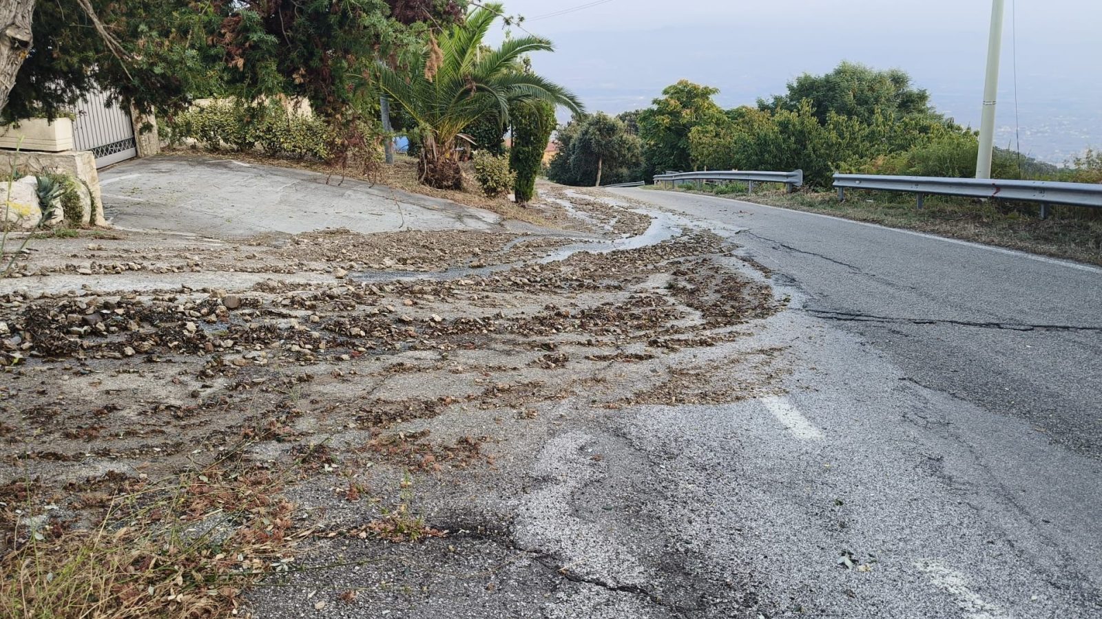 WhatsApp Image 2025-08-19 at 19.23.20