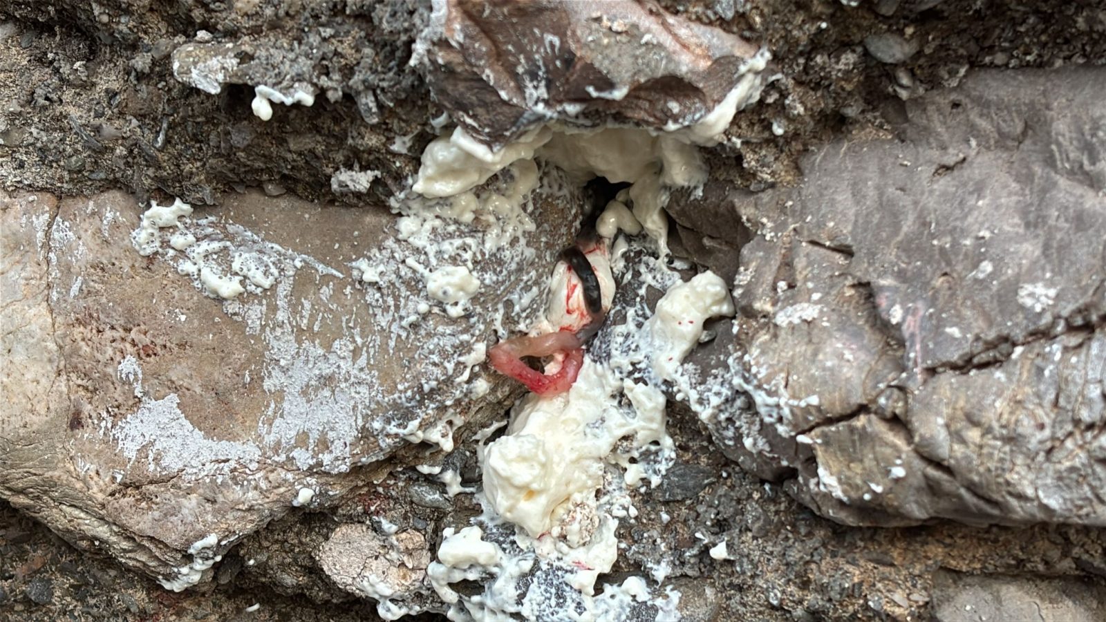 WhatsApp Image 2025-08-21 at 19.16.07