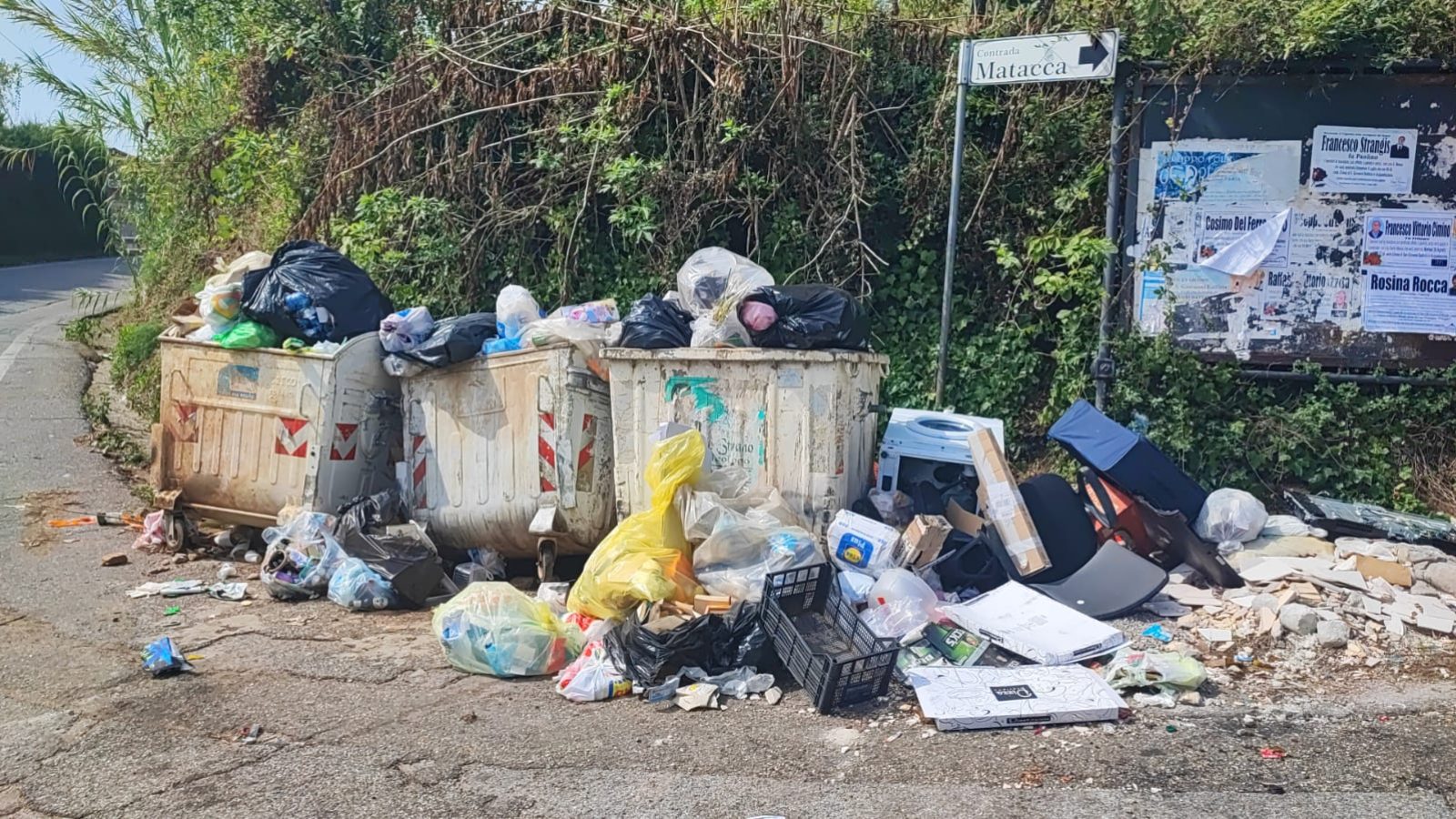 WhatsApp Image 2025-08-29 at 10.42.24