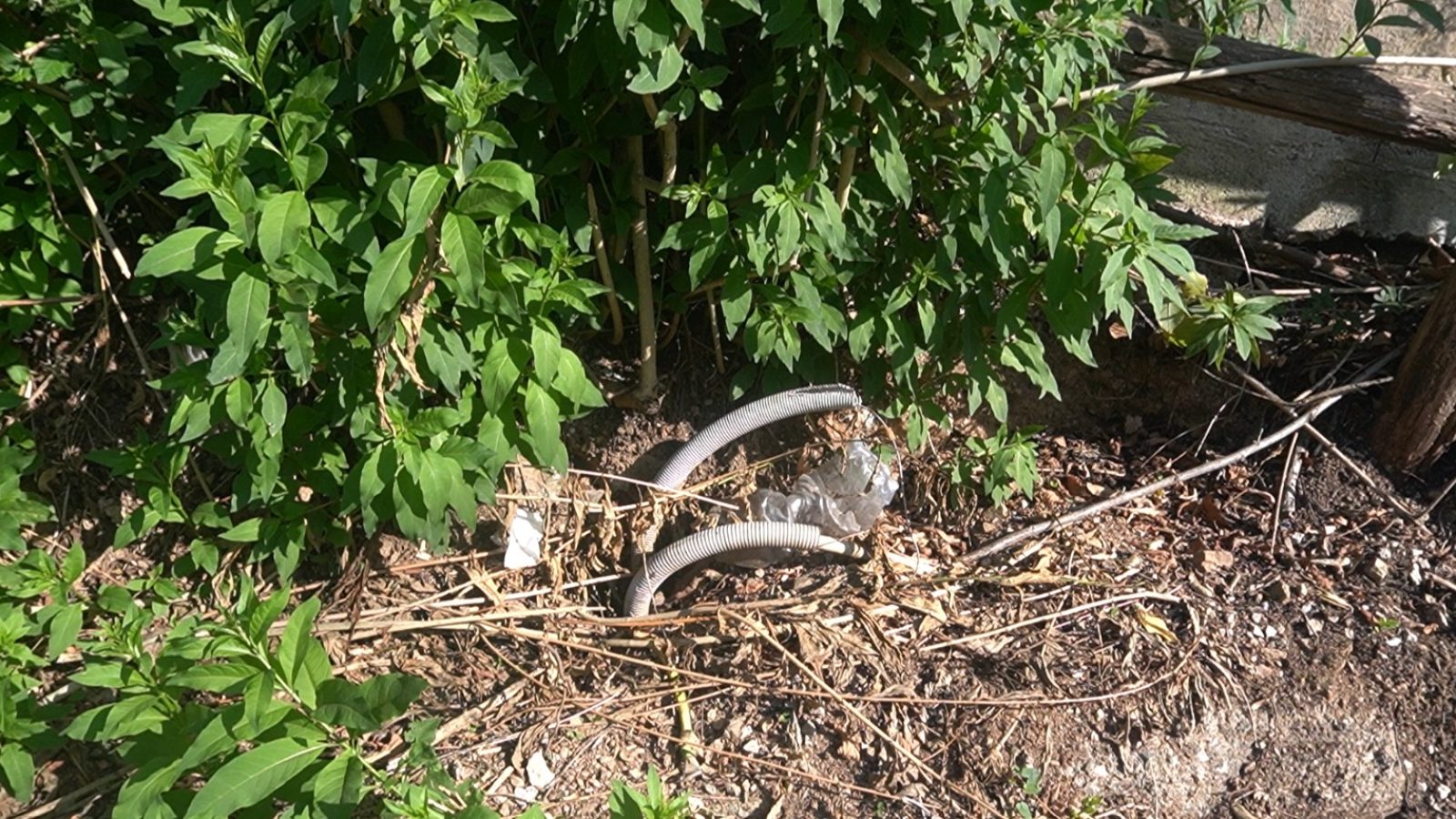 WhatsApp Image 2025-10-13 at 16.18.58