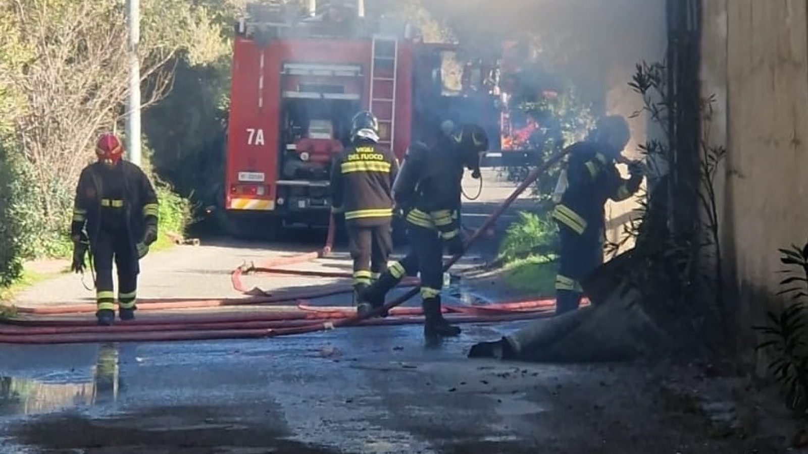 WhatsApp Image 2025-12-27 at 15.21.45