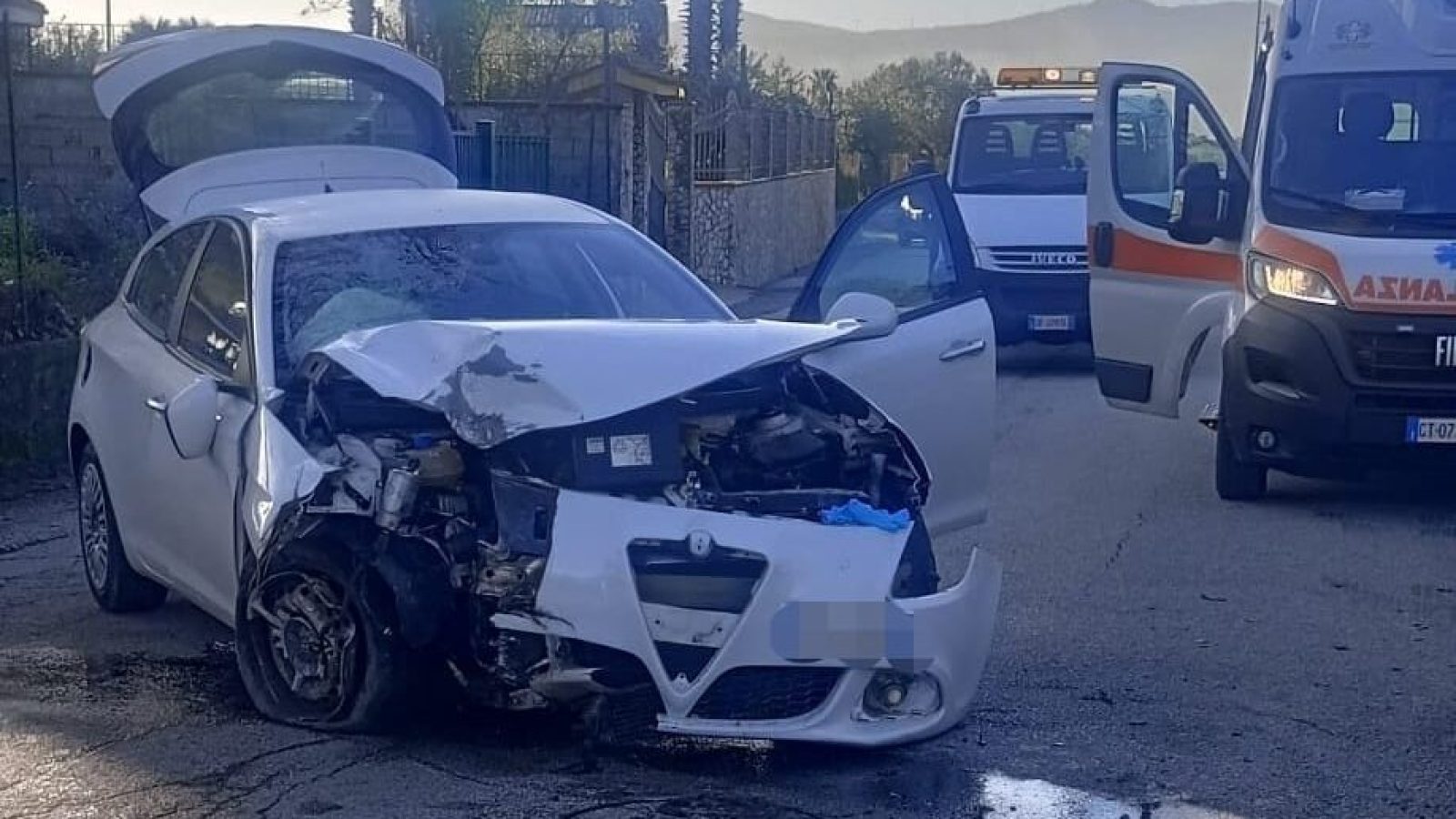 WhatsApp Image 2026-02-19 at 17.42.04