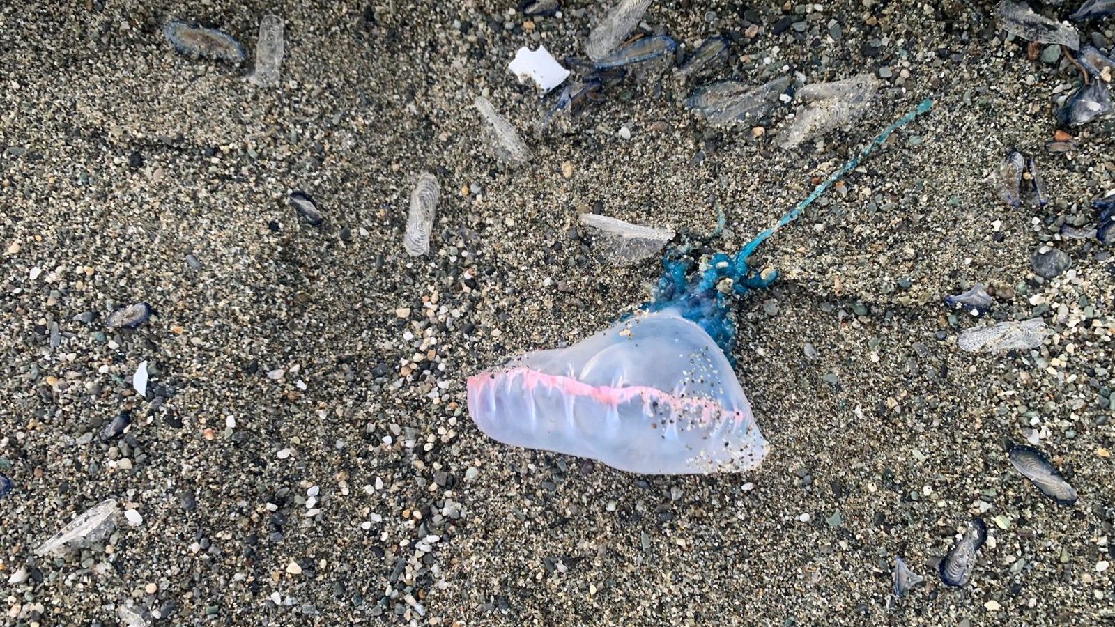 WhatsApp Image 2026-02-28 at 17.11.15