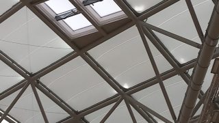 WhatsApp Image 2026-03-16 at 14.34.19