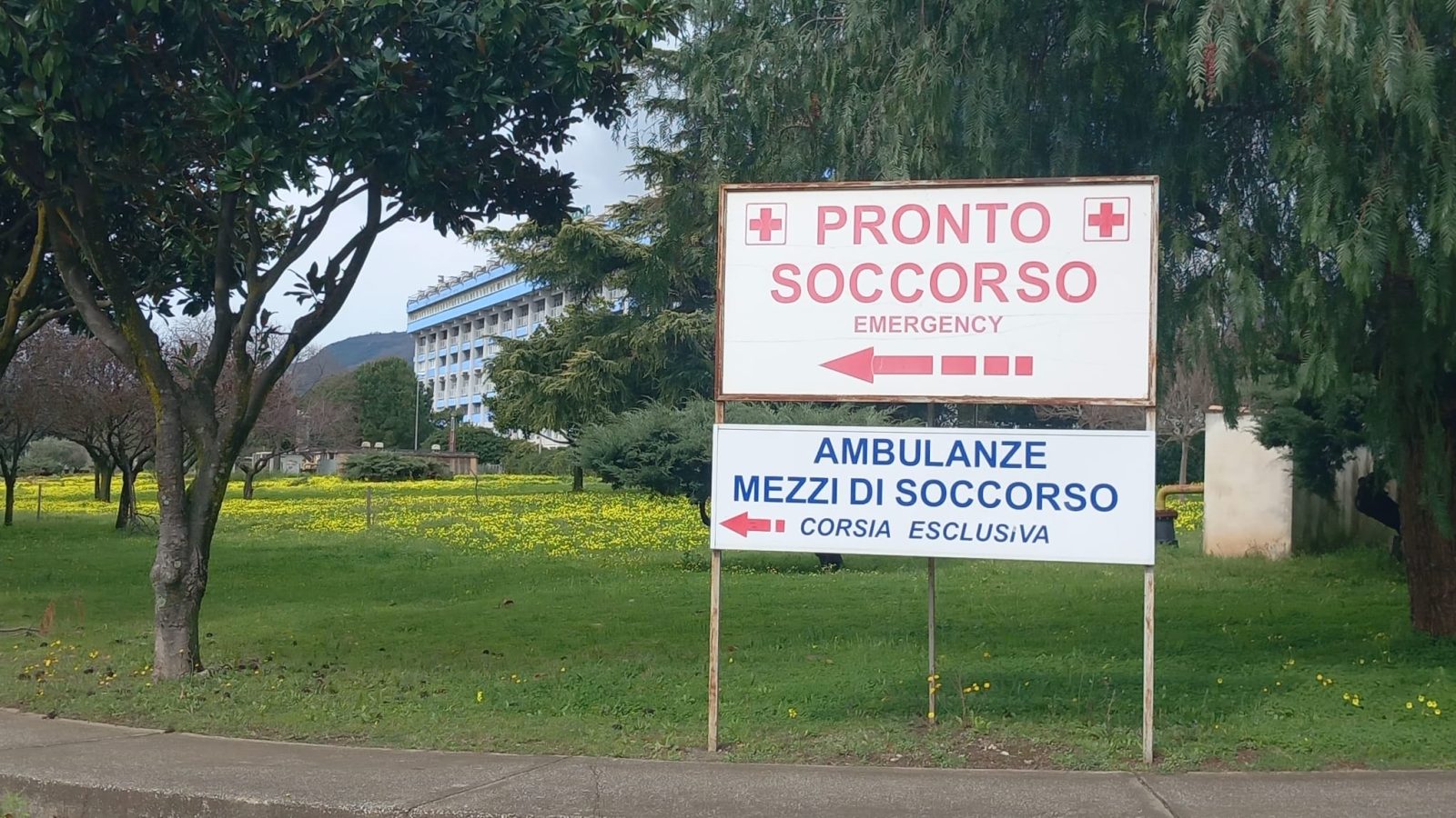 WhatsApp Image 2026-03-19 at 09.36.23