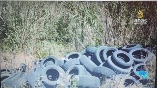 WhatsApp Image 2026-04-28 at 18.17.59