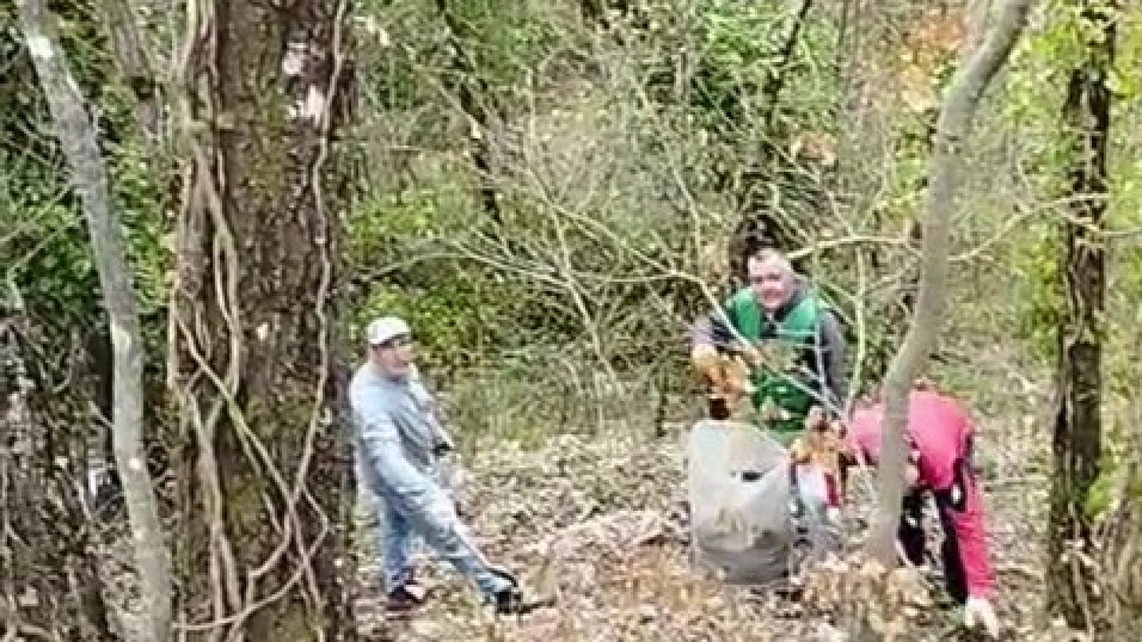 WhatsApp Video 2026-04-12 at 09.45.30 - frame at 0m4s