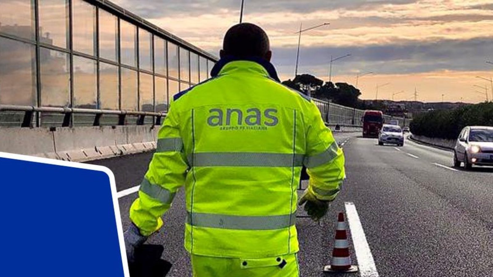 anas1