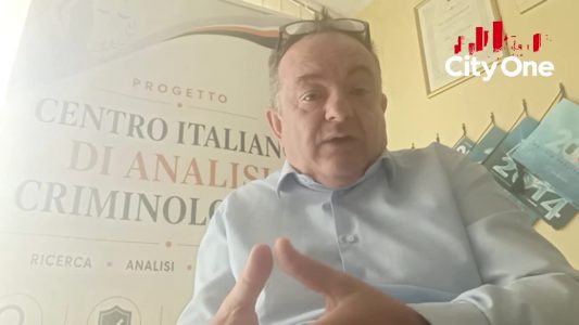 Progetto per accoltellare professoressa. Il caso del 14enne di Lamezia -2